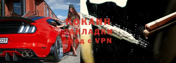 индика Аркадак