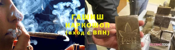 индика Аркадак