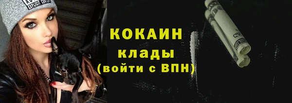 индика Аркадак