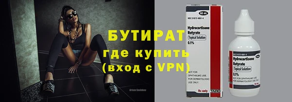 индика Аркадак