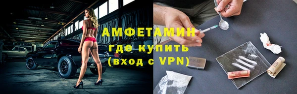 индика Аркадак