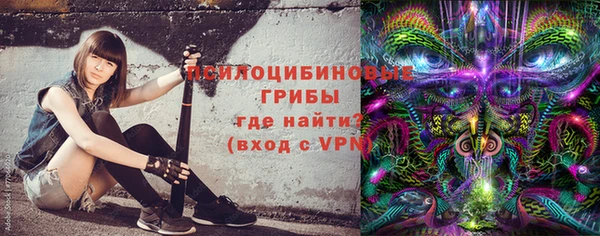 индика Аркадак